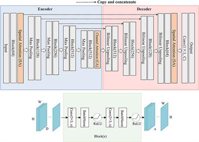 SCAU-Net: Spatial-Channel Attention U-Net for Gland Segmentation